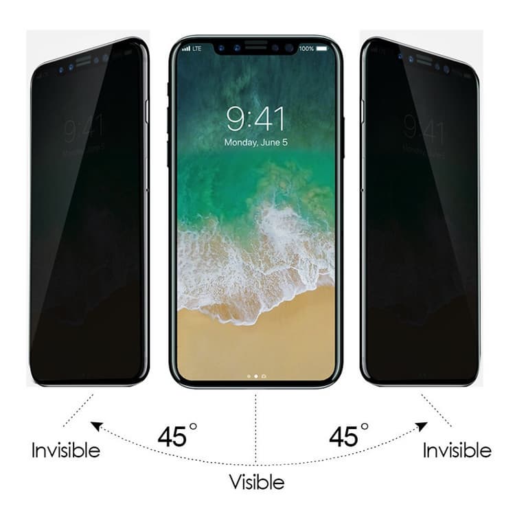 3D privacy tempered glass screen protector for iPhone X